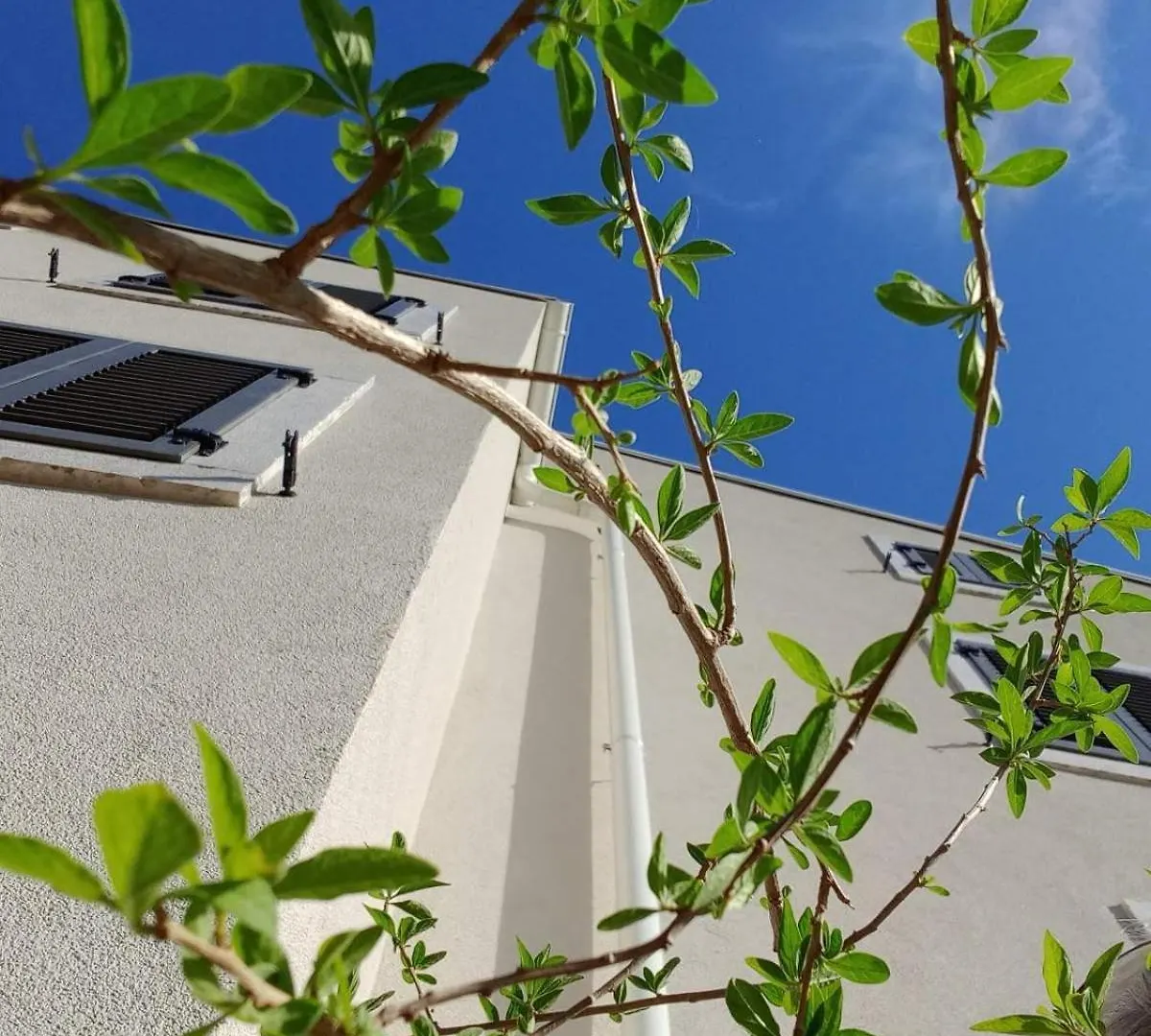 Apartment Desanti 4 Valun 0*,